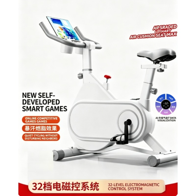 Silent Magnetic Resistance Spi - огляд і ціна Exercise Bike Magnetic Resistance
